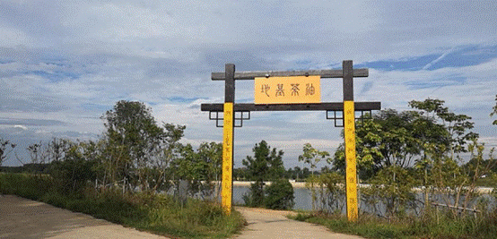 918博天堂 --官方网站
